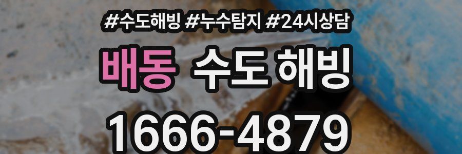 배동 수도 해빙