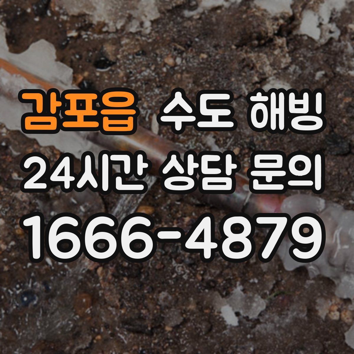 감포읍 수도 해빙