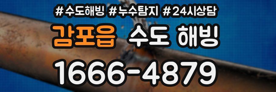 감포읍 수도 해빙