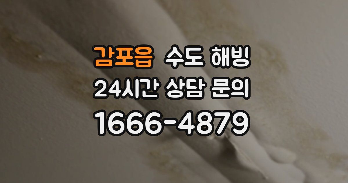 감포읍 수도 해빙