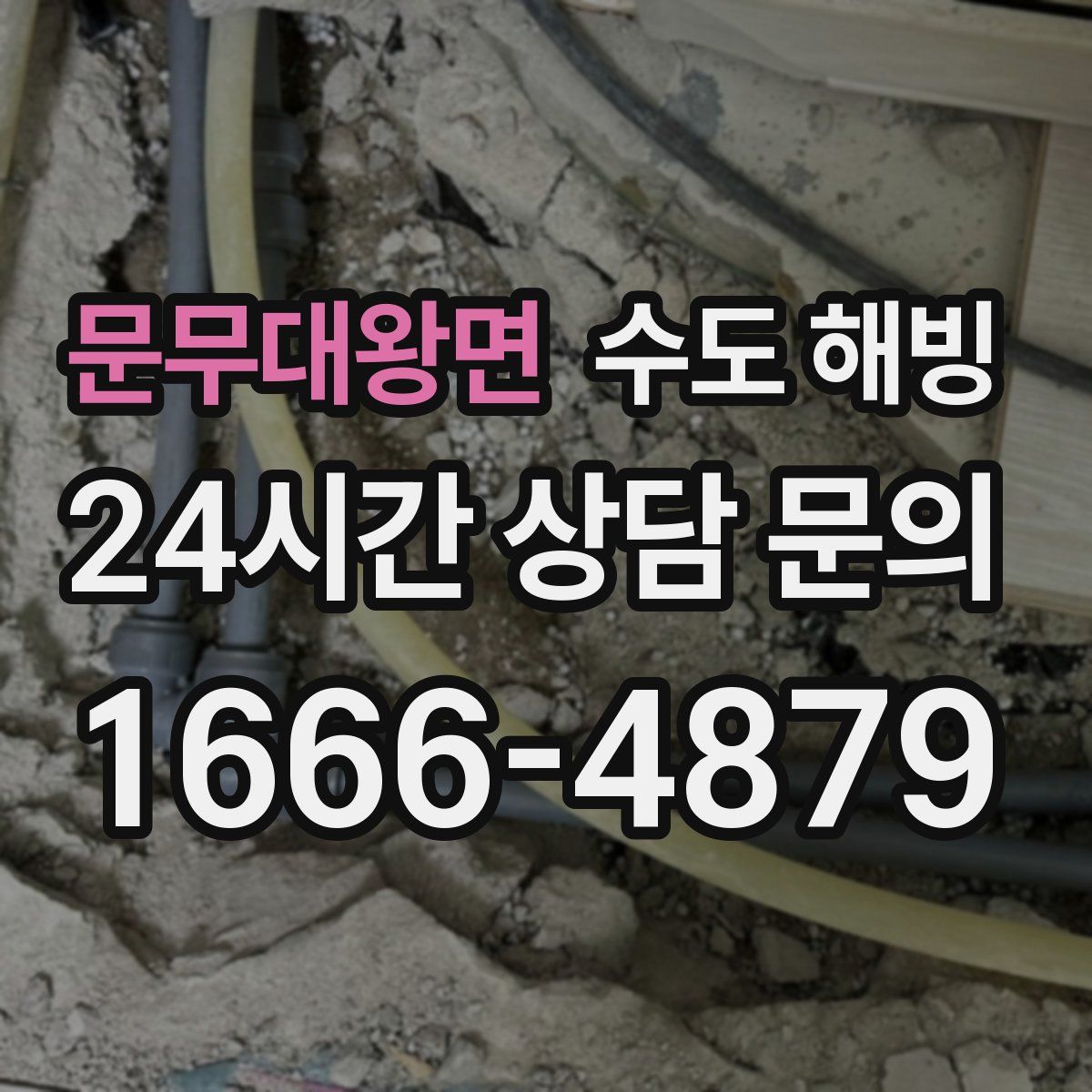 문무대왕면 수도 해빙