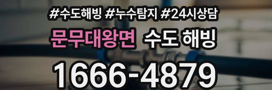 문무대왕면 수도 해빙