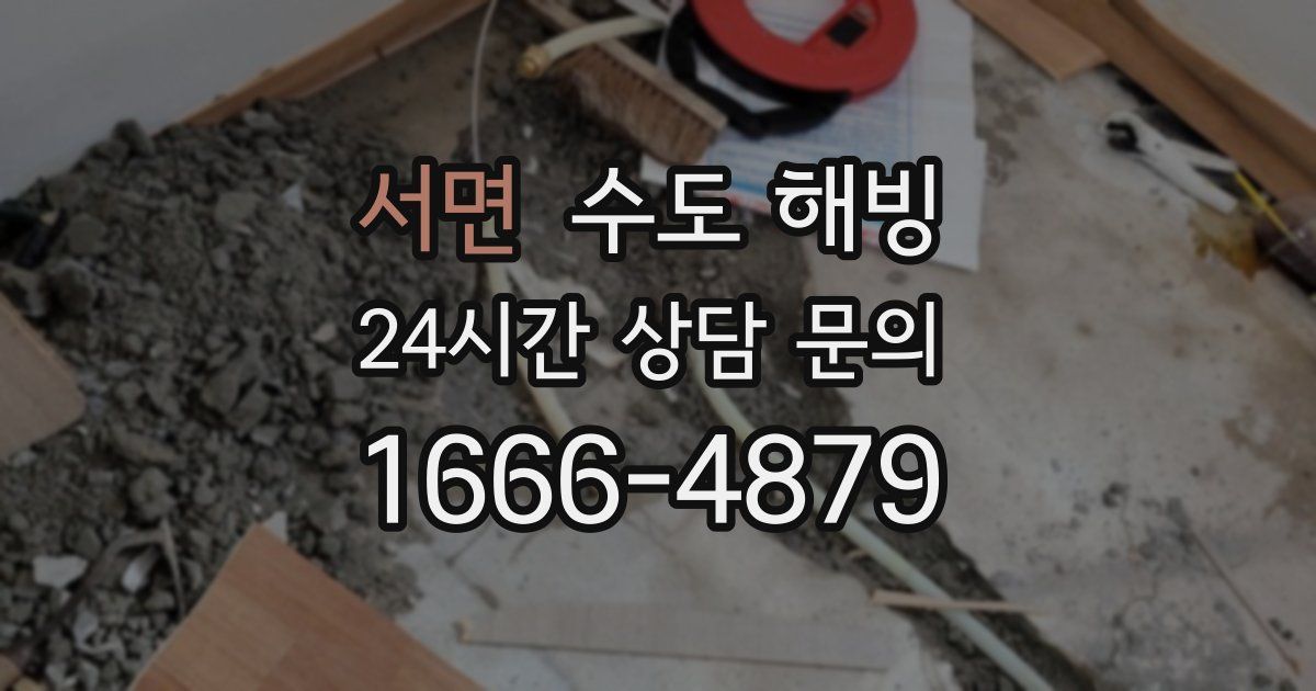 서면 수도 해빙