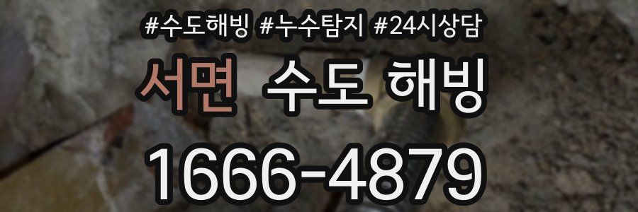 서면 수도 해빙