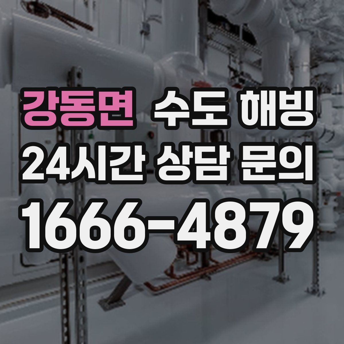 강동면 수도 해빙