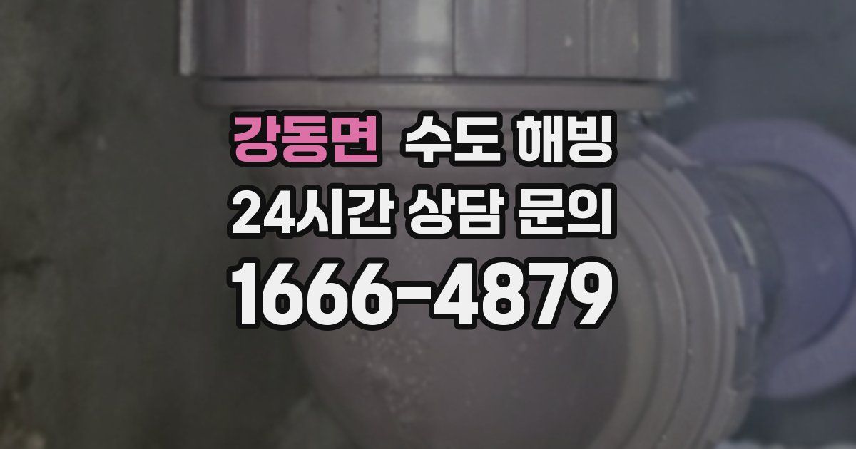 강동면 수도 해빙