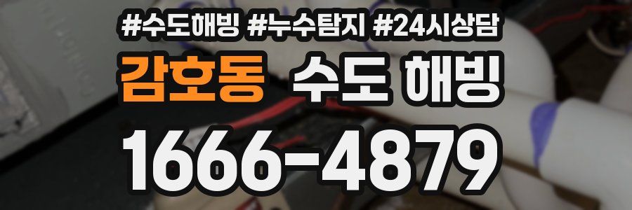 감호동 수도 해빙