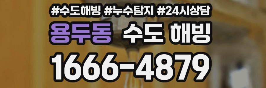 용두동 수도 해빙