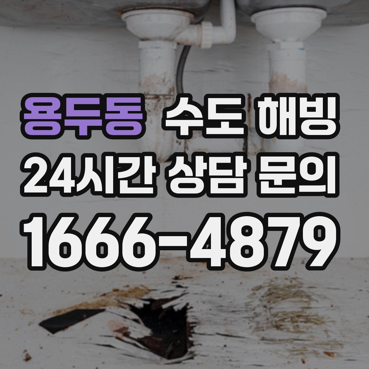 용두동 수도 해빙