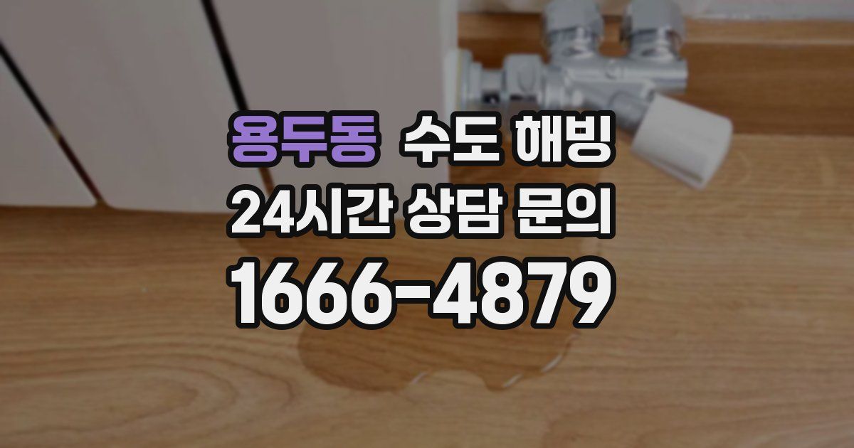 용두동 수도 해빙