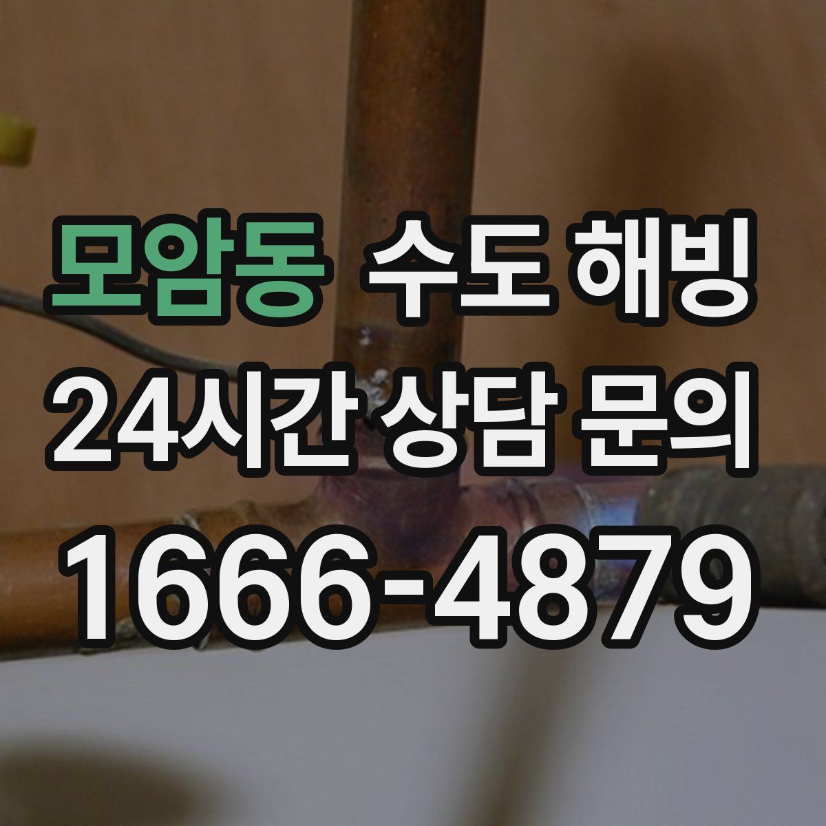 모암동 수도 해빙