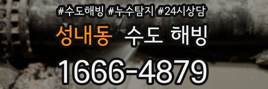 성내동 수도 해빙