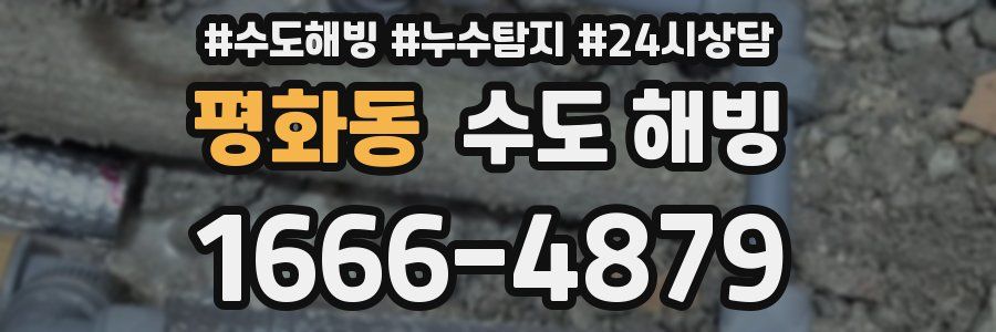 평화동 수도 해빙