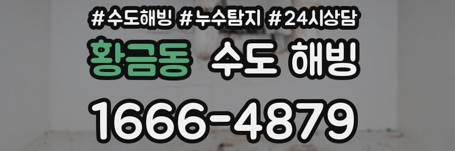 황금동 수도 해빙