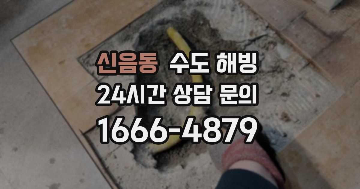 신음동 수도 해빙