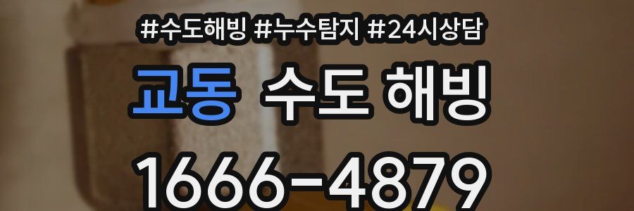 교동 수도 해빙