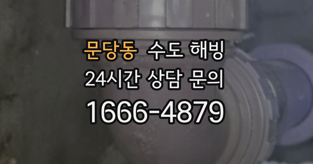 문당동 수도 해빙