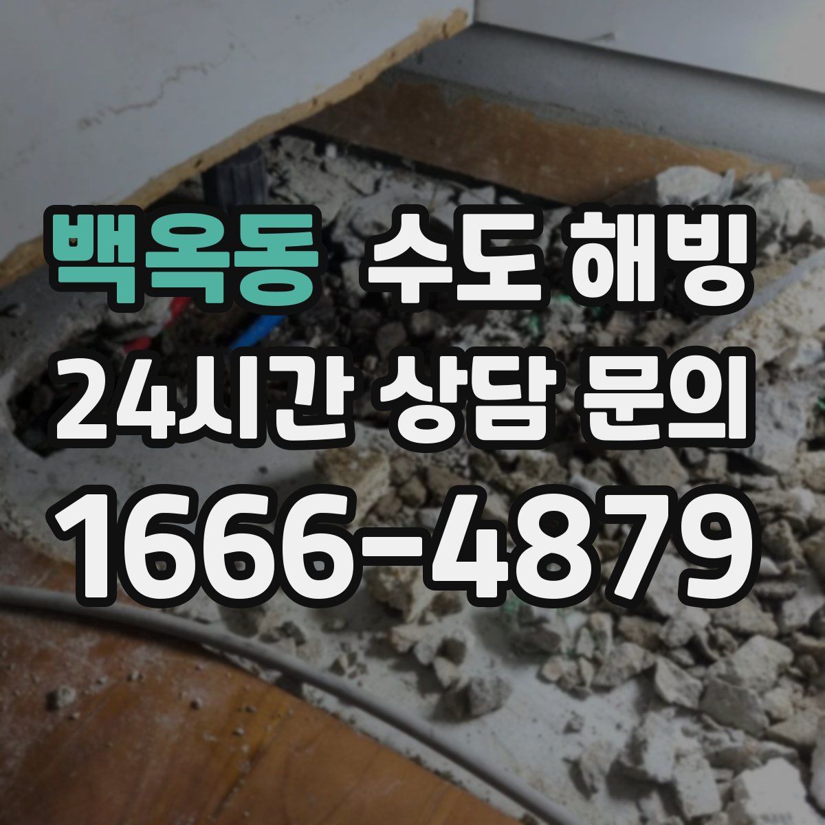 백옥동 수도 해빙