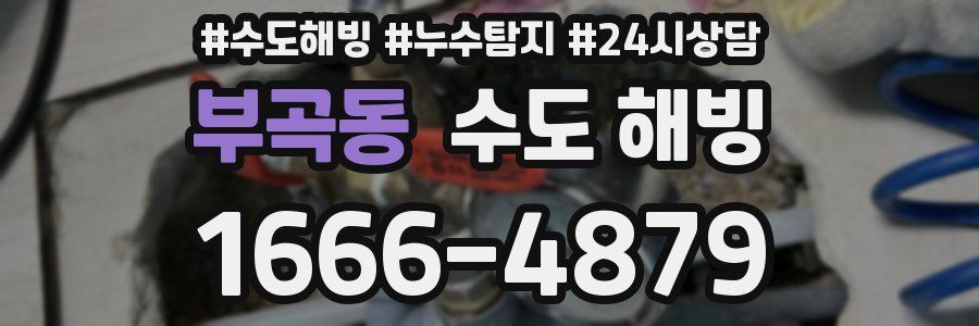 부곡동 수도 해빙