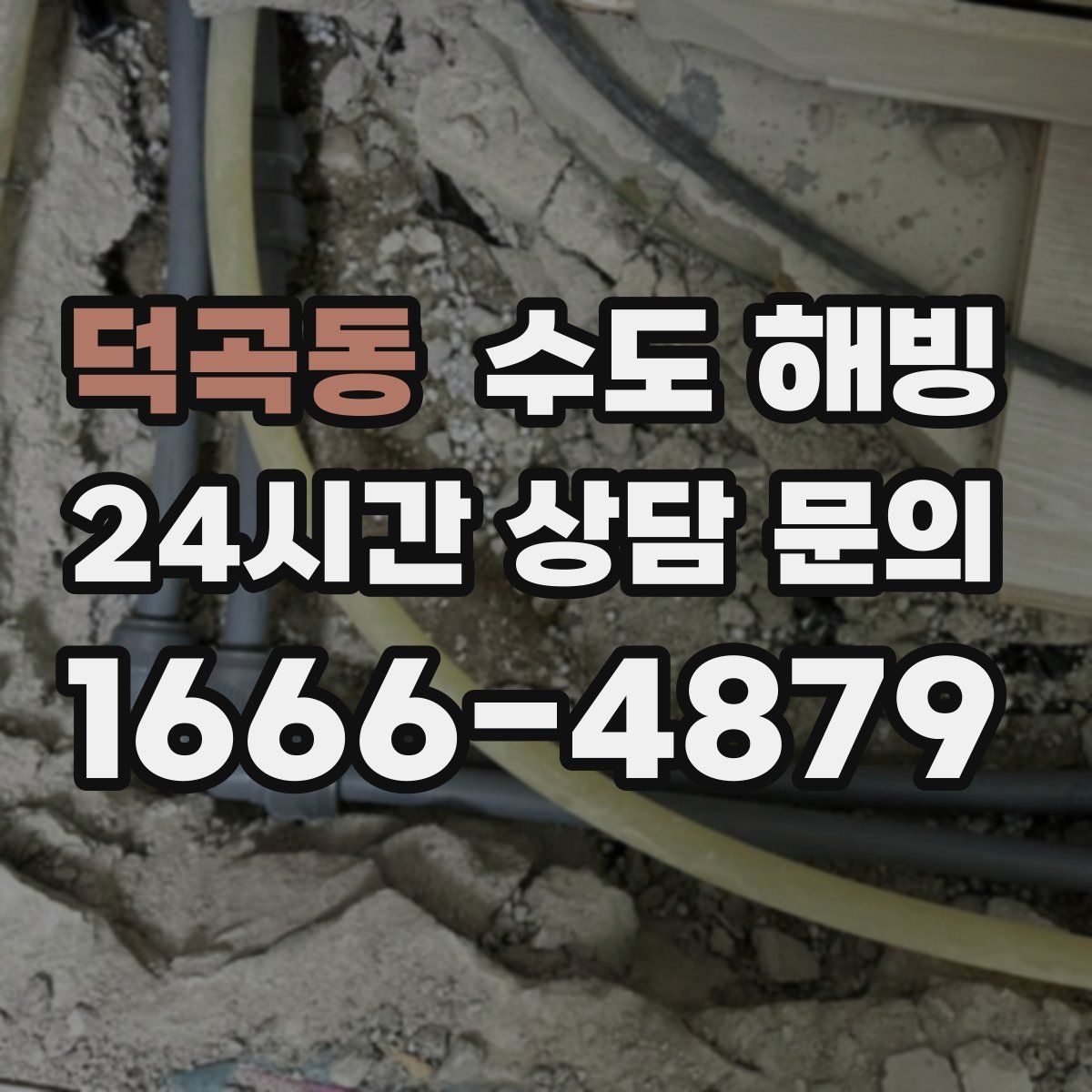덕곡동 수도 해빙