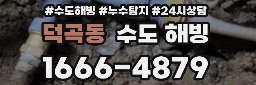 덕곡동 수도 해빙