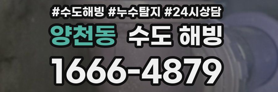 양천동 수도 해빙