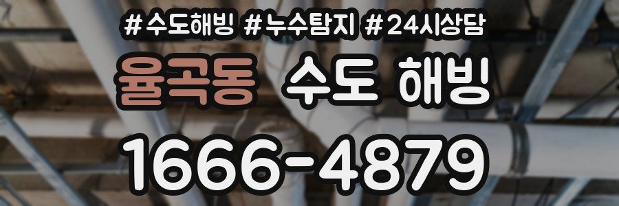 율곡동 수도 해빙