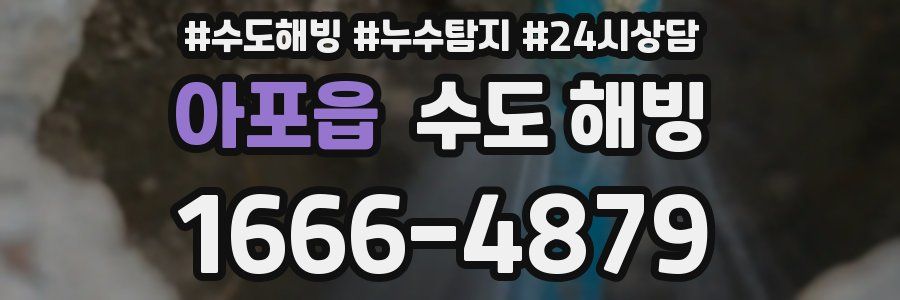 아포읍 수도 해빙