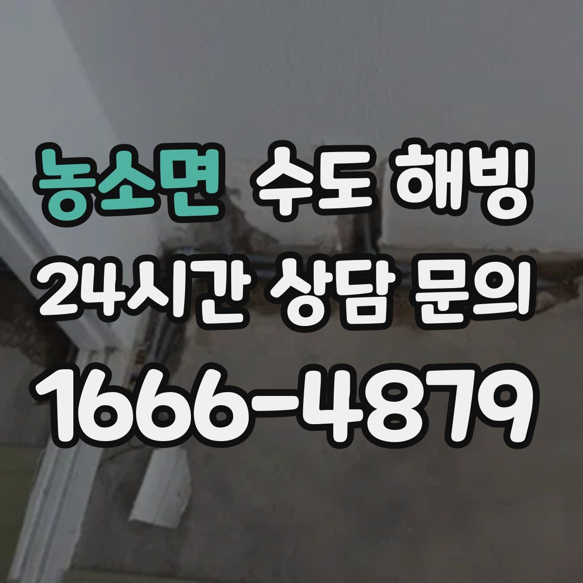 농소면 수도 해빙