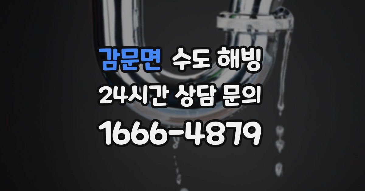 감문면 수도 해빙