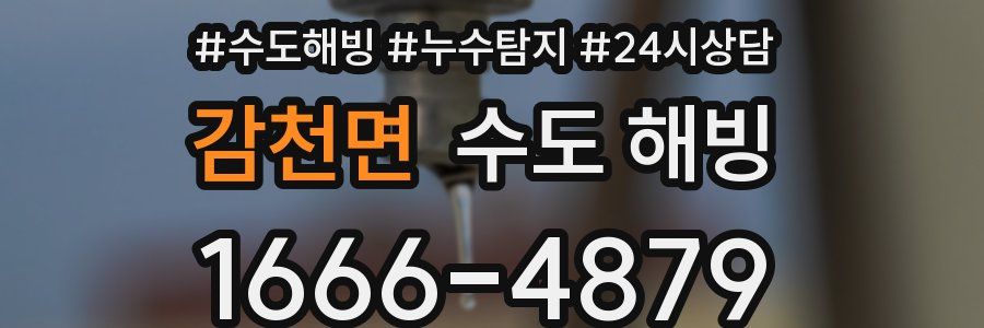 감천면 수도 해빙