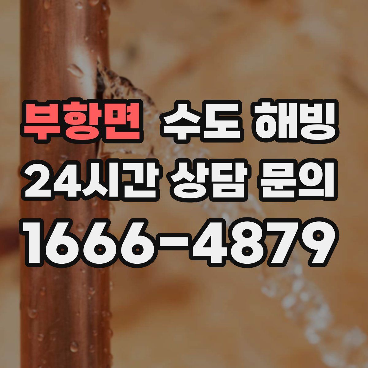 부항면 수도 해빙