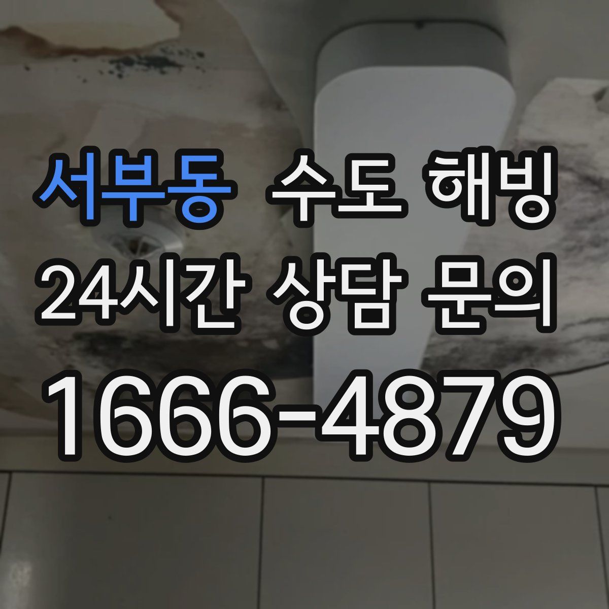 서부동 수도 해빙