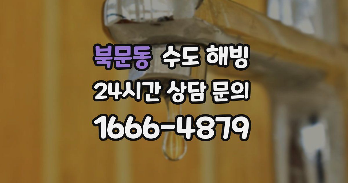 북문동 수도 해빙