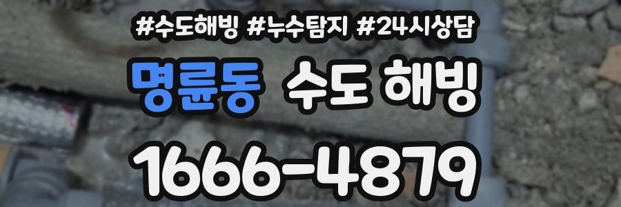 명륜동 수도 해빙