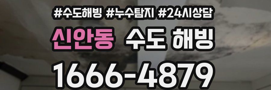 신안동 수도 해빙