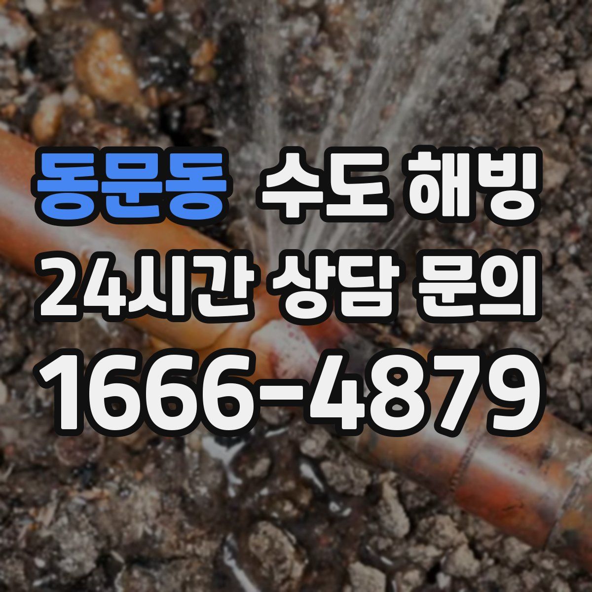 동문동 수도 해빙