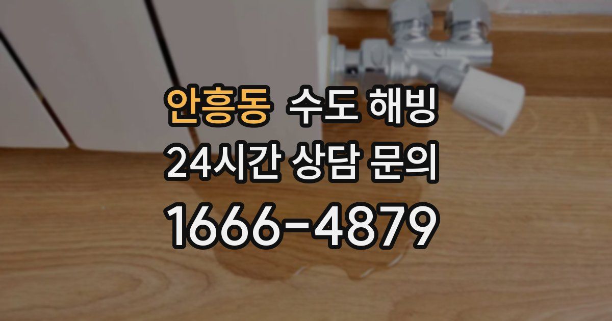 안흥동 수도 해빙