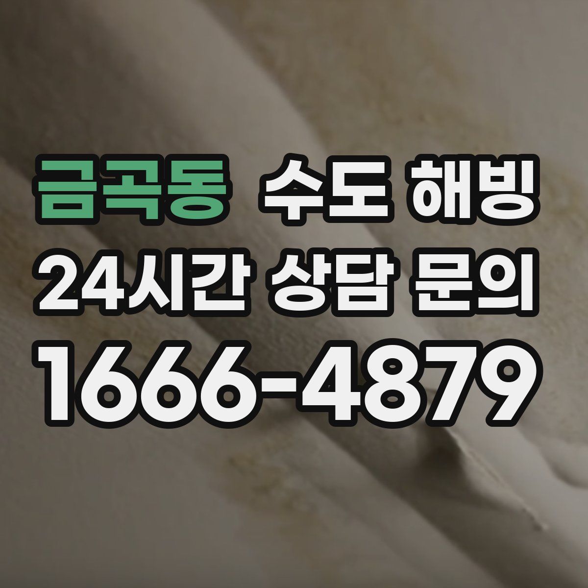 금곡동 수도 해빙