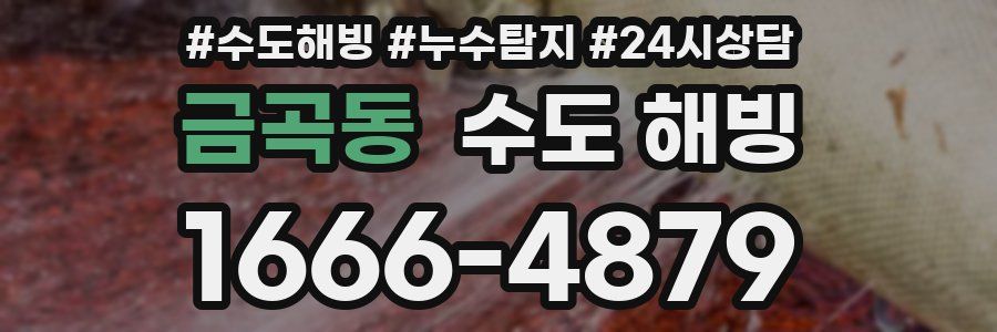 금곡동 수도 해빙