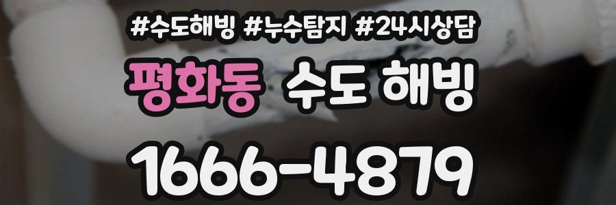 평화동 수도 해빙