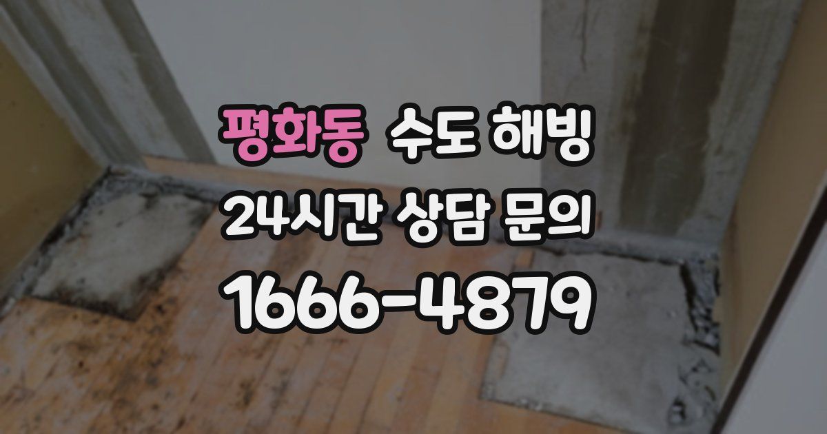 평화동 수도 해빙