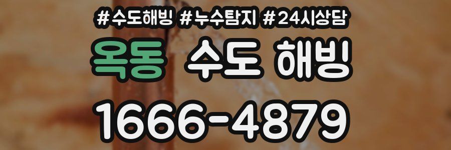 옥동 수도 해빙