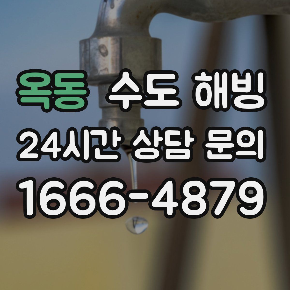 옥동 수도 해빙