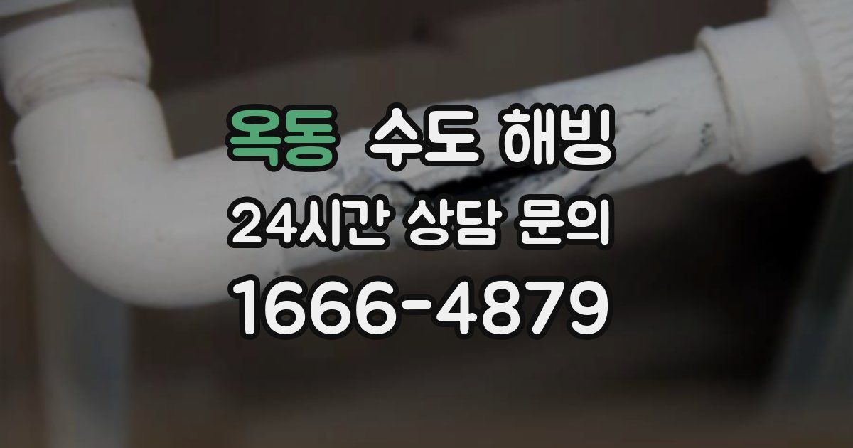 옥동 수도 해빙