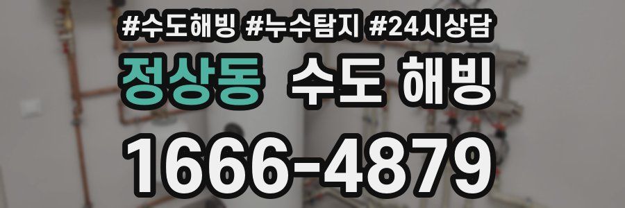 정상동 수도 해빙