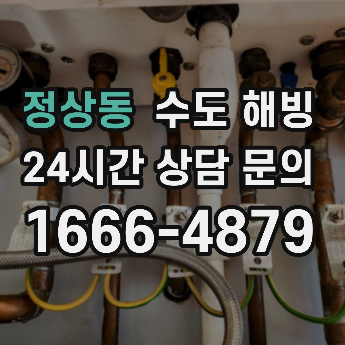 정상동 수도 해빙