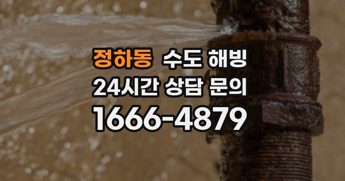 정하동 수도 해빙