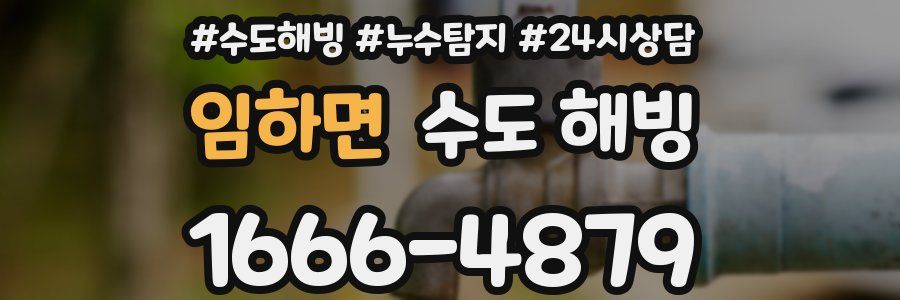 임하면 수도 해빙