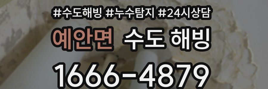 예안면 수도 해빙